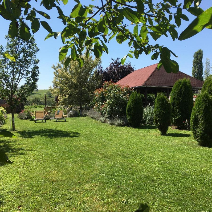 Domaine De La Mance - Maisonnette Avec Cheminee Vitrey-sur-Mance Eksteriør billede